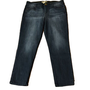 Democracy Abd technology straight leg jeans size 12